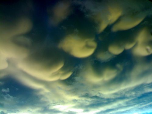 Fotografia de jluis - Galeria Fotografica: el orden del caos - Foto: 