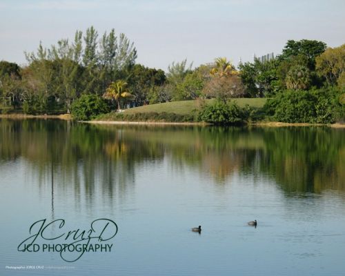 Fotografia de JCD PHOTOGRAPHY - Galeria Fotografica: CLICKS CITY/OTHERS - Foto: 