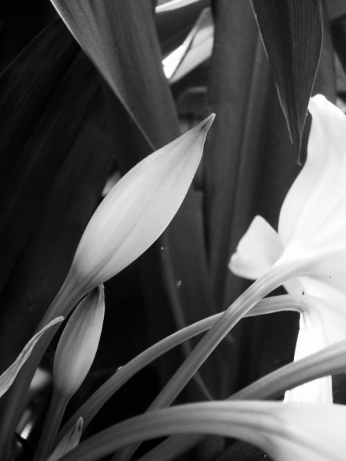 Fotografia de Jorge - Galeria Fotografica: Naturaleza - Foto: 