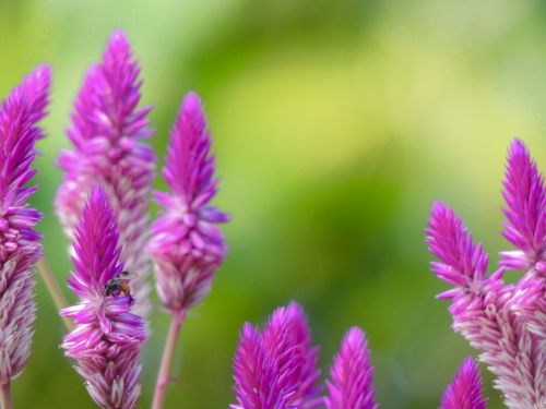 Fotografia de Jorge - Galeria Fotografica: Naturaleza - Foto: 