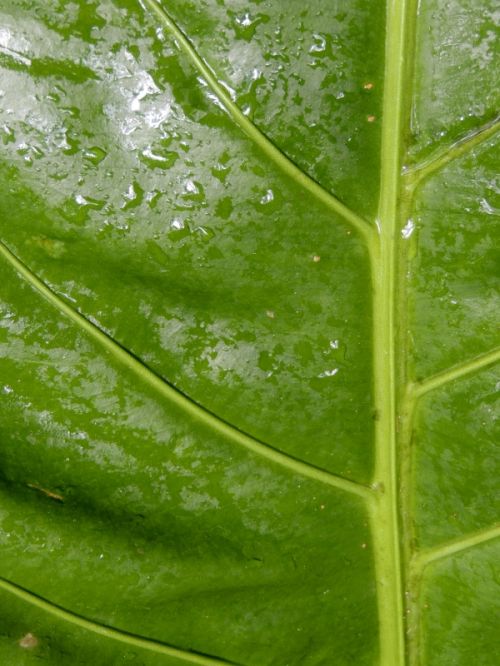 Fotografia de Jorge - Galeria Fotografica: Naturaleza - Foto: 