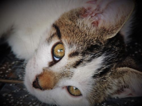 Fotografia de Jorge - Galeria Fotografica: Naturaleza - Foto: 