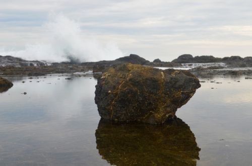 Fotografia de Jorge - Galeria Fotografica: Naturaleza - Foto: 