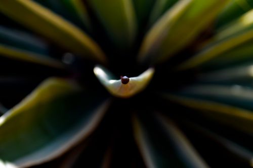 Fotografia de Jorge - Galeria Fotografica: Naturaleza - Foto: 