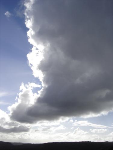 Fotografia de Javier - Galeria Fotografica: Arboles y Nubes - Foto: Volcan