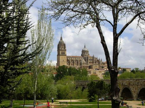Fotografia de L.M.BARAJAS - Galeria Fotografica: Naturaleza - Foto: Orgullosa y altiva