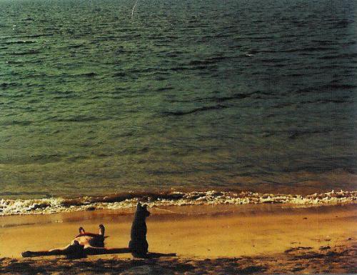 Fotografia de alberto - Galeria Fotografica: a traves de mi ojo - Foto: 