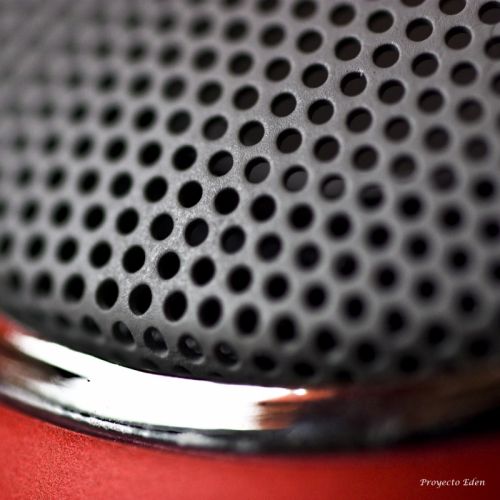 Fotografia de Proyecto Eden - Galeria Fotografica: Macros - Foto: ALTAvoz