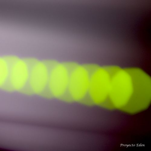 Fotografia de Proyecto Eden - Galeria Fotografica: Macros - Foto: Verde Hexagonal