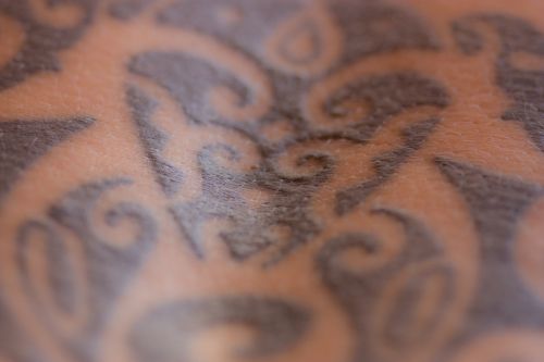 Fotografia de Proyecto Eden - Galeria Fotografica: Macros - Foto: Tattoo