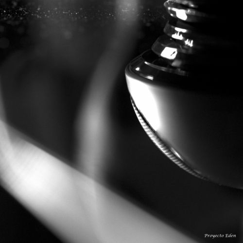 Fotografia de Proyecto Eden - Galeria Fotografica: Macros - Foto: REflejo