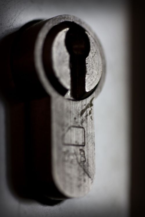 Fotografia de Proyecto Eden - Galeria Fotografica: Macros - Foto: Mirame