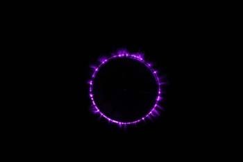 Fotografia de escarabajo project - Galeria Fotografica: kirlian project - Foto: 