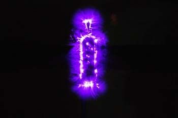 Fotografia de escarabajo project - Galeria Fotografica: kirlian project - Foto: cartucho egipcio