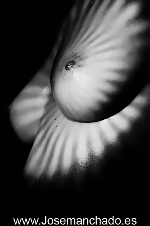 Fotografia de Jose Manchado - Galeria Fotografica: poses - Foto: 