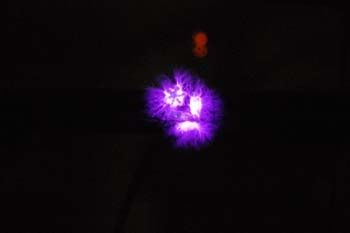 Fotografia de escarabajo project - Galeria Fotografica: kirlian project - Foto: pendiente flor