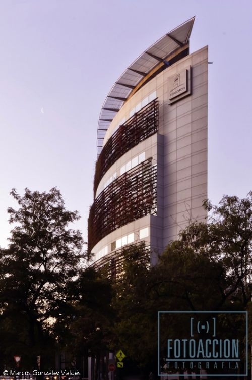 Fotografia de Marcos Gonzlez - FotoAccin - Galeria Fotografica: General - Foto: 