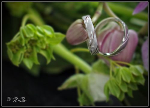 Fotografia de fotoraul - Galeria Fotografica: Mis Bodas - Foto: 