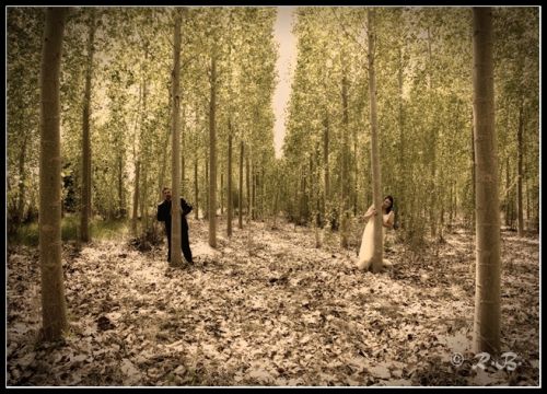 Fotografia de fotoraul - Galeria Fotografica: Mis Bodas - Foto: 