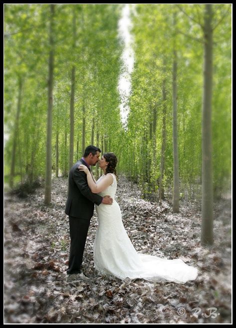 Fotografia de fotoraul - Galeria Fotografica: Mis Bodas - Foto: 