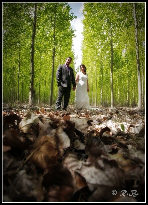 Fotografia de fotoraul - Galeria Fotografica: Mis Bodas - Foto: 