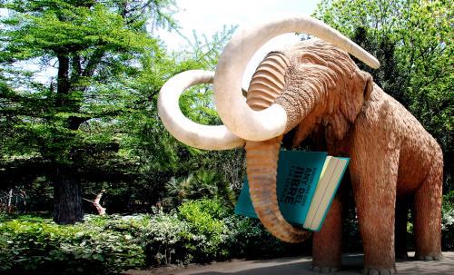 Fotografia de tex - Galeria Fotografica: Barcelona:bestias leidas - Foto: Mamut