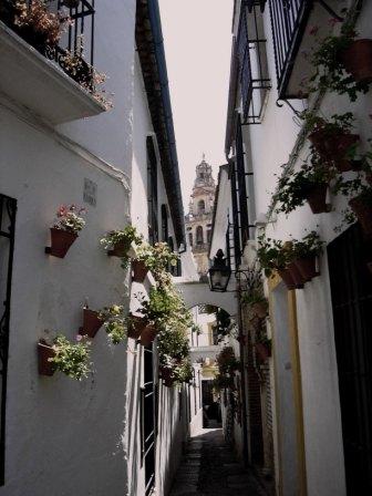 Fotografia de Soma - Galeria Fotografica: Seleccin de la autora - Foto: Mirando a la mezquita