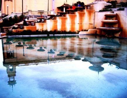 Fotografia de Soma - Galeria Fotografica: Seleccin de la autora - Foto: Reflejos