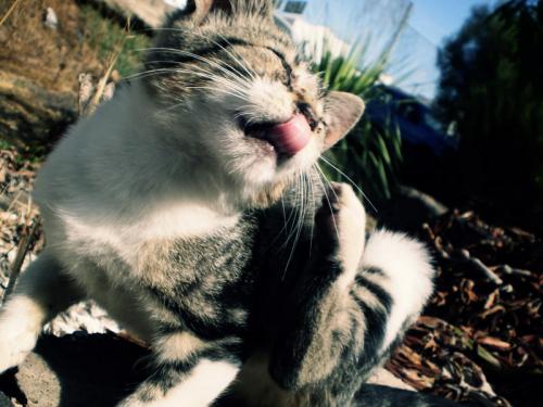 Fotografia de Carolina - Galeria Fotografica: Portfolio - Foto: 