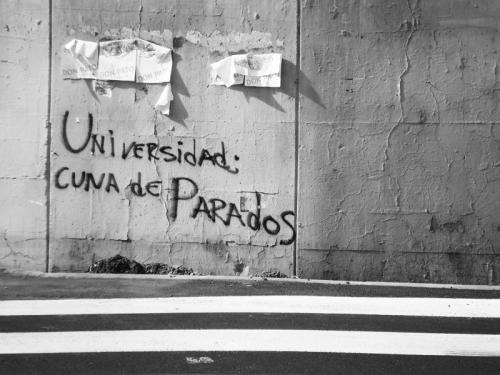 Fotografia de Carolina - Galeria Fotografica: Portfolio - Foto: 