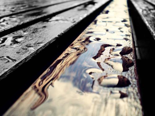 Fotografia de Carolina - Galeria Fotografica: Portfolio - Foto: 