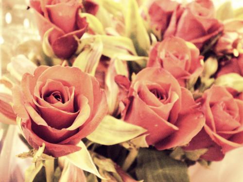 Fotografia de Carolina - Galeria Fotografica: Portfolio - Foto: 