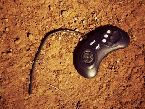 Fotografia de Carolina - Galeria Fotografica: Portfolio II - Foto: 