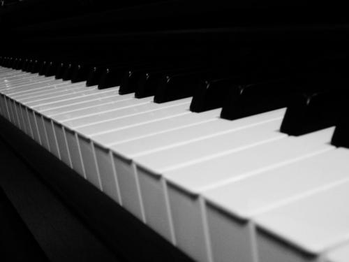 Fotografia de Carolina - Galeria Fotografica: Portfolio III - Foto: 