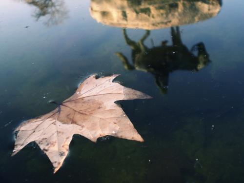 Fotografia de Carolina - Galeria Fotografica: Portfolio III - Foto: 