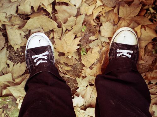 Fotografia de Carolina - Galeria Fotografica: Portfolio III - Foto: 