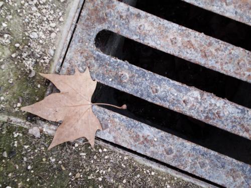 Fotografia de Carolina - Galeria Fotografica: Portfolio - Foto: 