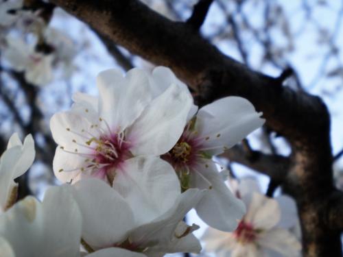 Fotografia de Carolina - Galeria Fotografica: Portfolio - Foto: 