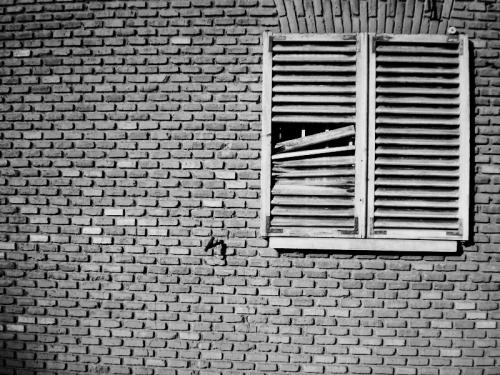 Fotografia de Carolina - Galeria Fotografica: Portfolio II - Foto: 