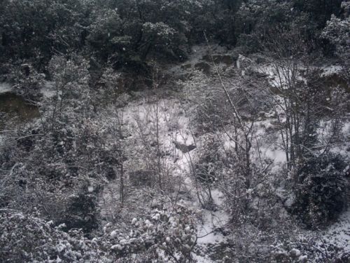 Fotografia de eamane - Galeria Fotografica: Blanco&Negro - Foto: 