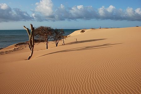 Fotografia de Manuel Jimenez Photography - Galeria Fotografica: Galleries - Foto: Sandy Day