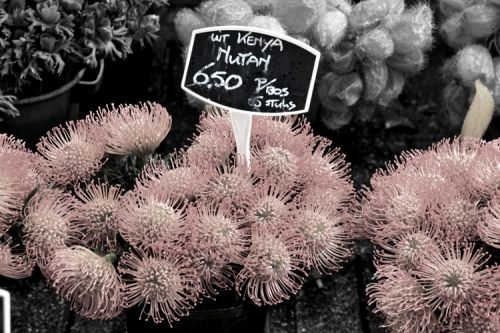 Fotografia de martapujol - Galeria Fotografica: Lugares Comunes - Foto: 