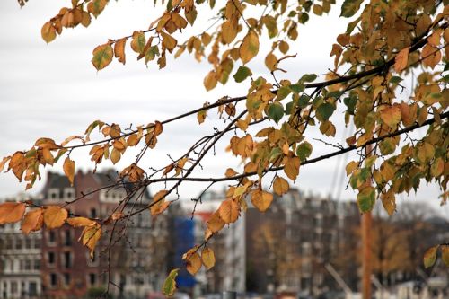 Fotografia de martapujol - Galeria Fotografica: Lugares Comunes - Foto: 