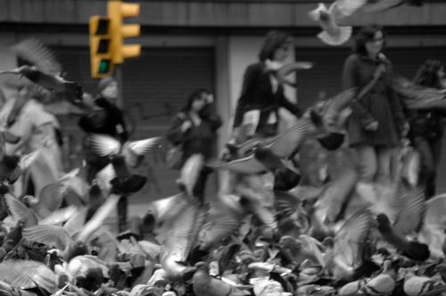 Fotografia de martapujol - Galeria Fotografica: Lugares Comunes - Foto: 