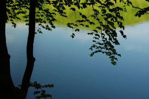 Fotografia de martapujol - Galeria Fotografica: Lugares Comunes - Foto: 