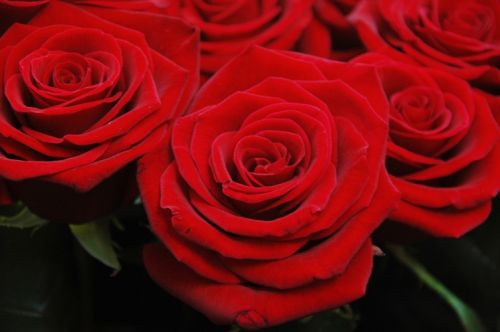 Fotografia de martapujol - Galeria Fotografica: Lugares Comunes - Foto: 