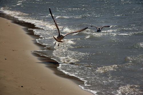 Fotografia de martapujol - Galeria Fotografica: Lugares Comunes - Foto: 