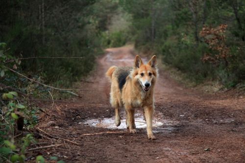 Fotografia de martapujol - Galeria Fotografica: Lugares Comunes - Foto: 