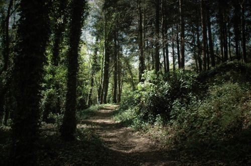 Fotografia de martapujol - Galeria Fotografica: Lugares Comunes - Foto: 