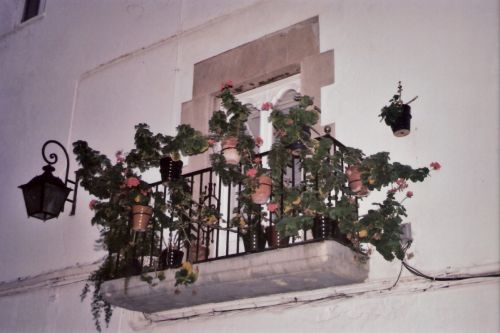 Fotografia de eamane - Galeria Fotografica: SITGES - Foto: 